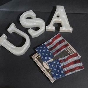 American Flag Earrings